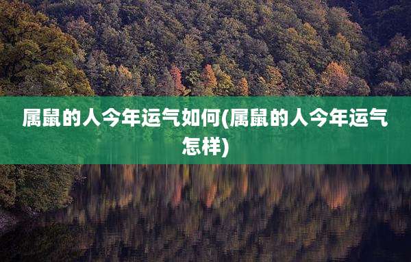 属鼠的人今年运气如何(属鼠的人今年运气怎样)