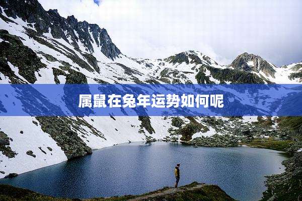 属鼠在兔年运势如何呢