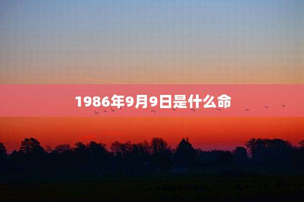 1986年9月9日是什么命