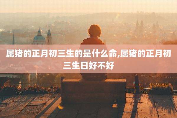 属猪的正月初三生的是什么命,属猪的正月初三生日好不好
