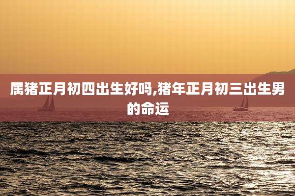 属猪正月初四出生好吗,猪年正月初三出生男的命运