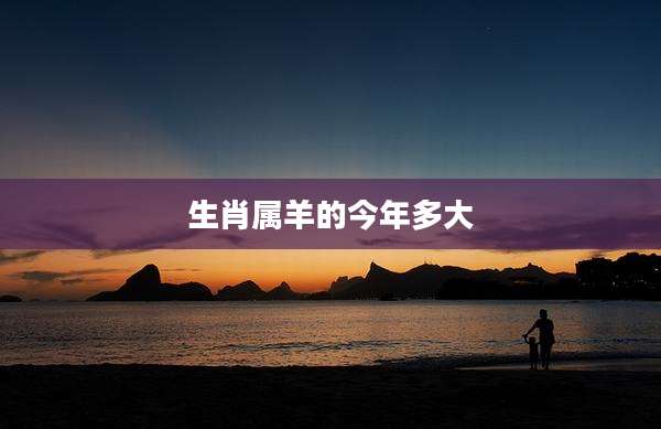 生肖属羊的今年多大