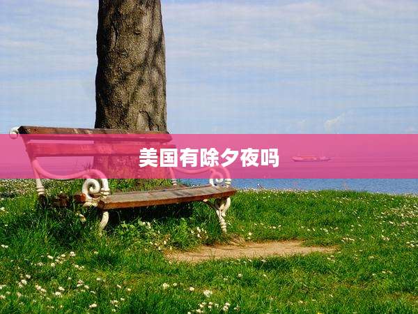美国有除夕夜吗