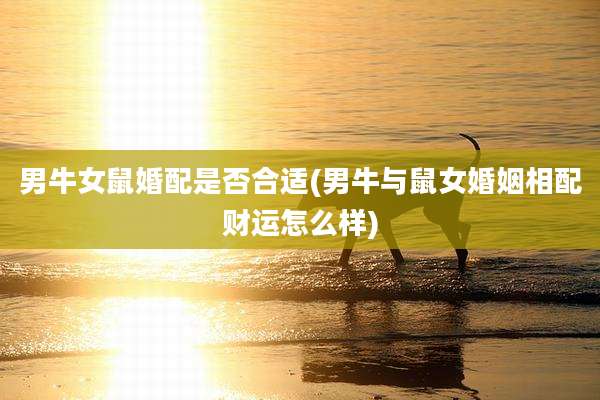 男牛女鼠婚配是否合适(男牛与鼠女婚姻相配财运怎么样)