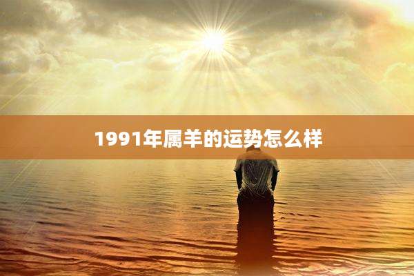 1991年属羊的运势怎么样