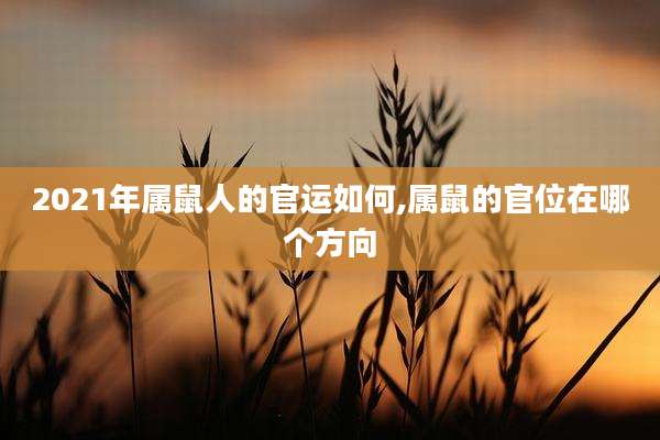 2021年属鼠人的官运如何,属鼠的官位在哪个方向