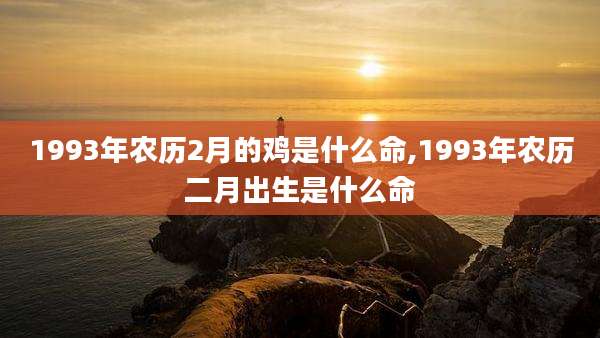 1993年农历2月的鸡是什么命,1993年农历二月出生是什么命