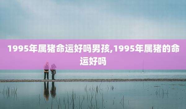 1995年属猪命运好吗男孩,1995年属猪的命运好吗