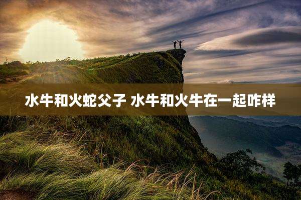 水牛和火蛇父子 水牛和火牛在一起咋样