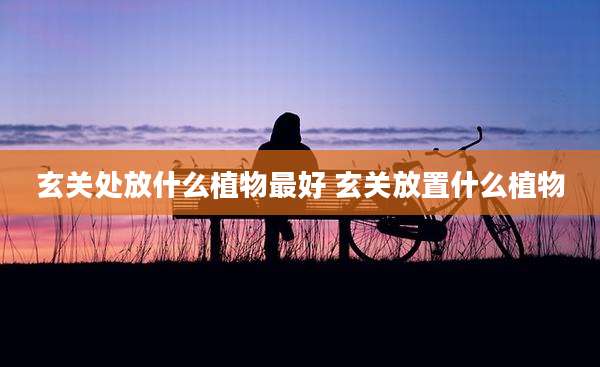 玄关处放什么植物最好 玄关放置什么植物