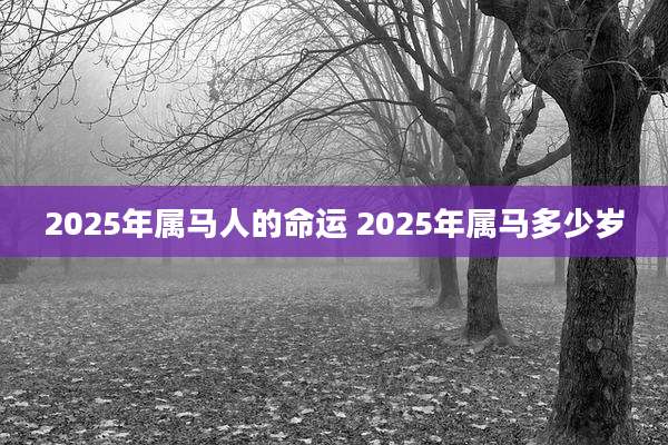 2025年属马人的命运 2025年属马多少岁