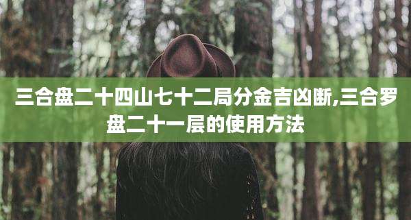 三合盘二十四山七十二局分金吉凶断,三合罗盘二十一层的使用方法