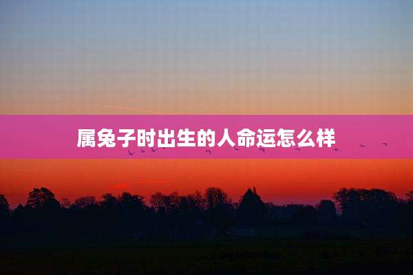 属兔子时出生的人命运怎么样
