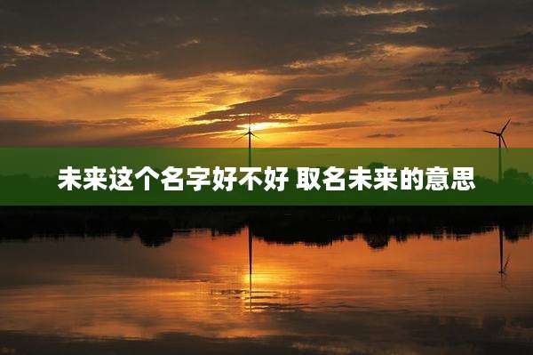 未来这个名字好不好 取名未来的意思