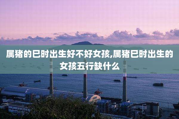 属猪的巳时出生好不好女孩,属猪巳时出生的女孩五行缺什么