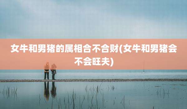 女牛和男猪的属相合不合财(女牛和男猪会不会旺夫)