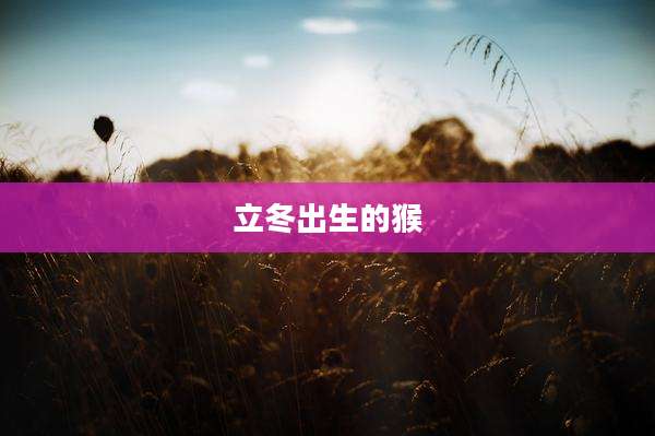 立冬出生的猴