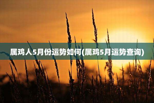 属鸡人5月份运势如何(属鸡5月运势查询)