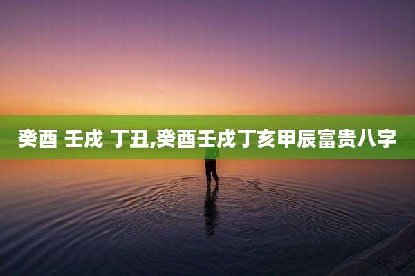 癸酉 壬戌 丁丑,癸酉壬戌丁亥甲辰富贵八字