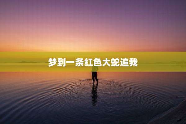 梦到一条红色大蛇追我