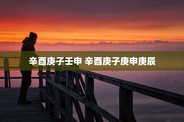 辛酉庚子壬申 辛酉庚子庚申庚辰