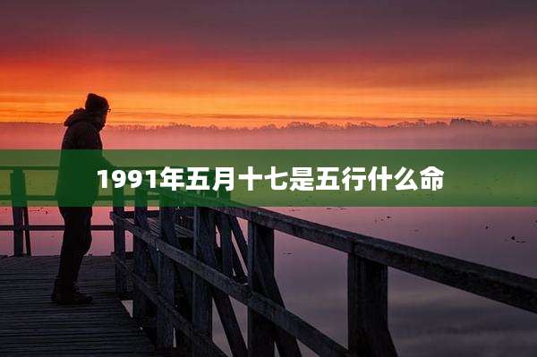 1991年五月十七是五行什么命