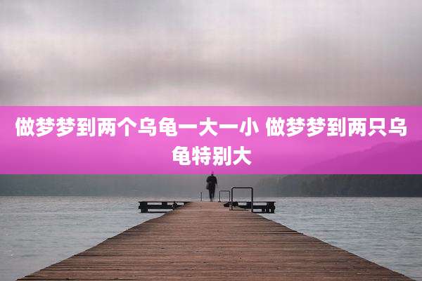 做梦梦到两个乌龟一大一小 做梦梦到两只乌龟特别大