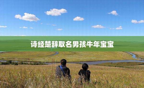 诗经楚辞取名男孩牛年宝宝