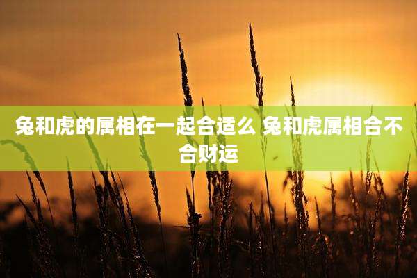 兔和虎的属相在一起合适么 兔和虎属相合不合财运