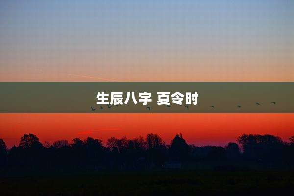 生辰八字 夏令时