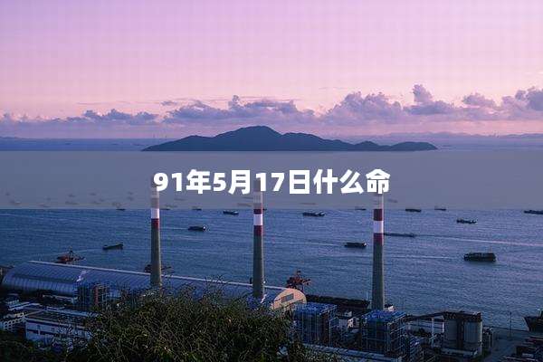 91年5月17日什么命
