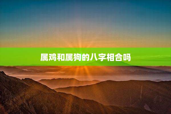 属鸡和属狗的八字相合吗