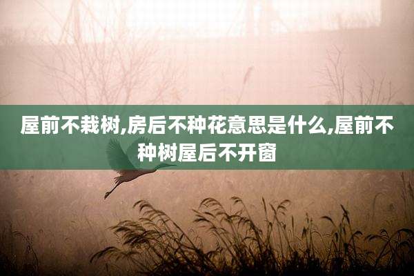 屋前不栽树,房后不种花意思是什么,屋前不种树屋后不开窗