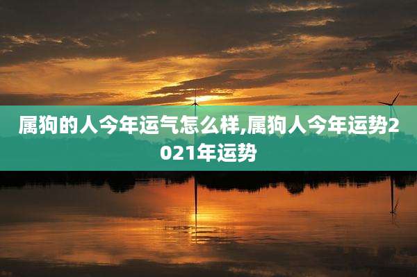 属狗的人今年运气怎么样,属狗人今年运势2021年运势