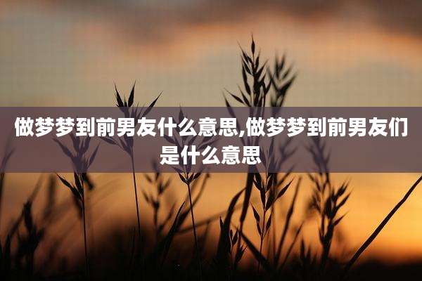 做梦梦到前男友什么意思,做梦梦到前男友们是什么意思