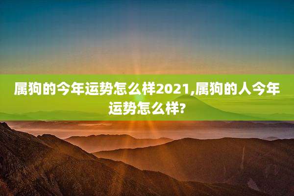 属狗的今年运势怎么样2021,属狗的人今年运势怎么样?