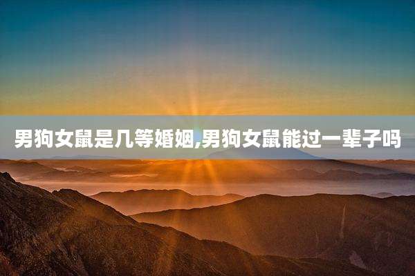 男狗女鼠是几等婚姻,男狗女鼠能过一辈子吗