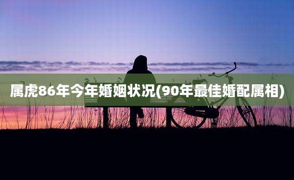 属虎86年今年婚姻状况(90年最佳婚配属相)