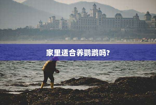 家里适合养鹦鹉吗?