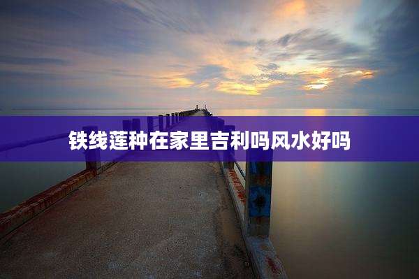 铁线莲种在家里吉利吗风水好吗