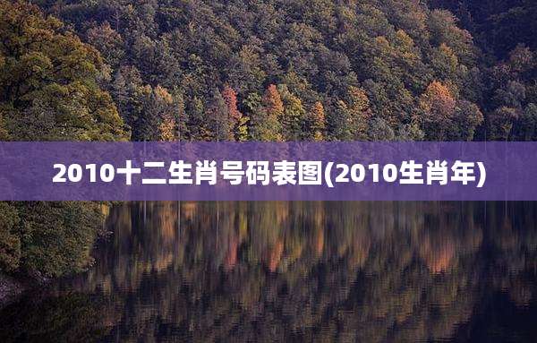 2010十二生肖号码表图(2010生肖年)