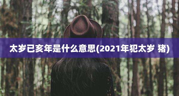 太岁已亥年是什么意思(2021年犯太岁 猪)