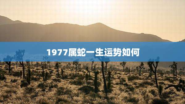 1977属蛇一生运势如何