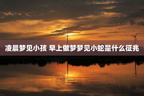 凌晨梦见小孩 早上做梦梦见小蛇是什么征兆