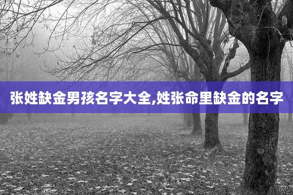 张姓缺金男孩名字大全,姓张命里缺金的名字
