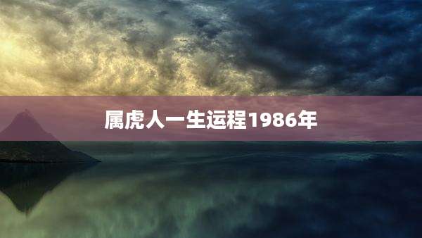 属虎人一生运程1986年