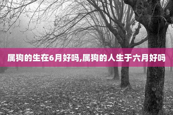 属狗的生在6月好吗,属狗的人生于六月好吗