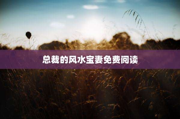 总裁的风水宝妻免费阅读
