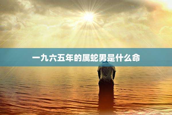 一九六五年的属蛇男是什么命