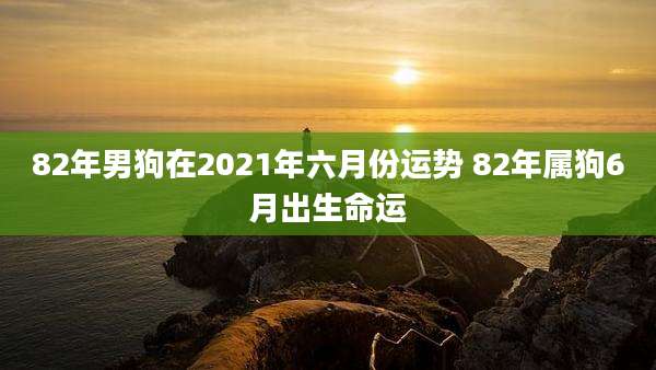 82年男狗在2021年六月份运势 82年属狗6月出生命运